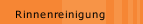 Rinnenreinigung