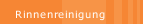 Rinnenreinigung